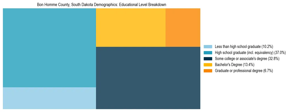 Treemap chart illustrating the educational attainment breakdown for population 25 years and over in Bon Homme County, South Dakota.