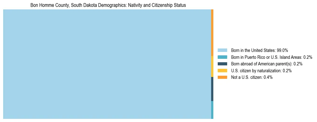 Treemap showing the population distribution by nativity and citizenship status in Bon Homme County, South Dakota based on U.S. Census data.