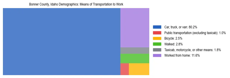 Treemap showing means of transportation to work distribution in Bonner County, Idaho.