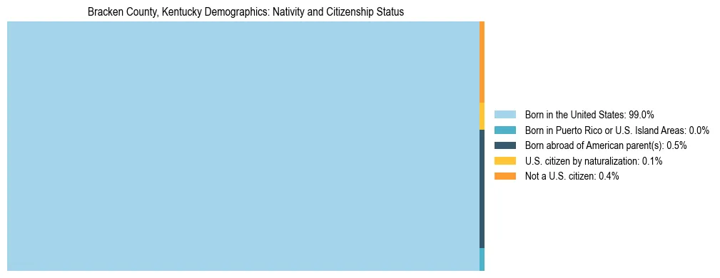 Treemap showing the population distribution by nativity and citizenship status in Bracken County, Kentucky based on U.S. Census data.