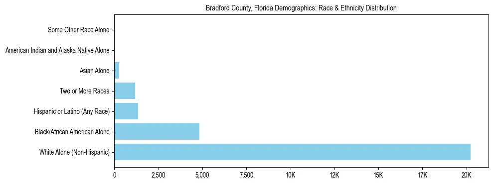 Race and Ethnicity Distribution Chart for Bradford County, Florida
