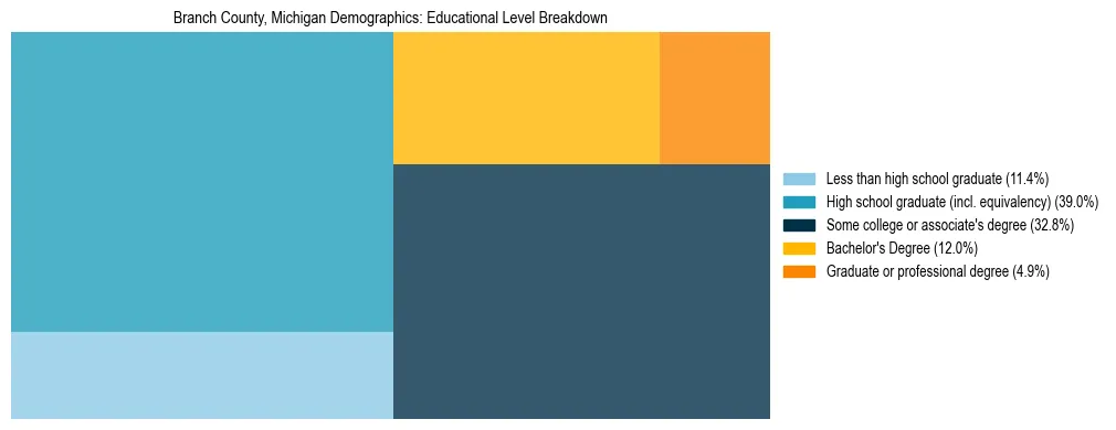Treemap chart illustrating the educational attainment breakdown for population 25 years and over in Branch County, Michigan.