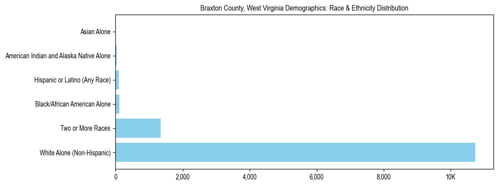 Race and Ethnicity Distribution Chart for Braxton County, West Virginia