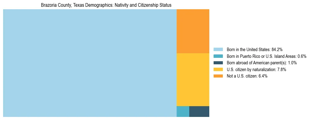 Treemap showing the population distribution by nativity and citizenship status in Brazoria County, Texas based on U.S. Census data.