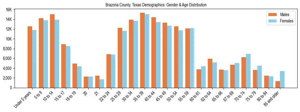 Bar chart showing the population distribution of Brazoria County, Texas by age group and gender, based on 2023 ACS data.