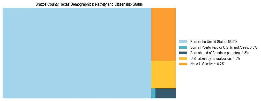 Treemap showing the population distribution by nativity and citizenship status in Brazos County, Texas based on U.S. Census data.