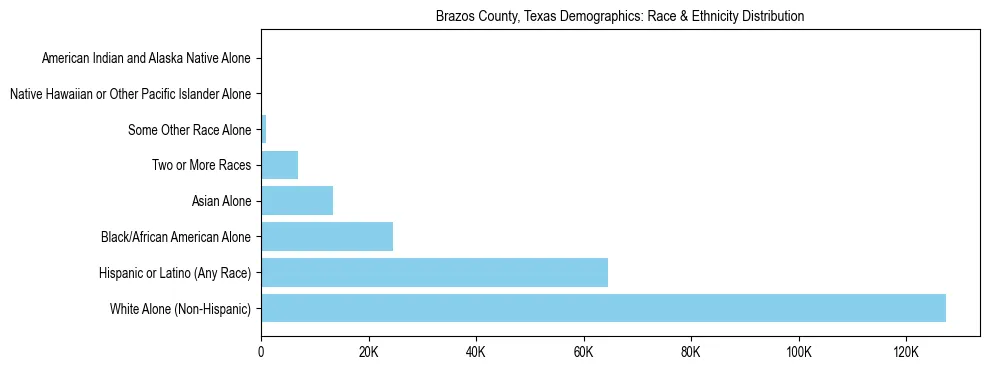Race and Ethnicity Distribution Chart for Brazos County, Texas