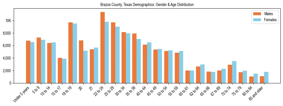 Bar chart showing the population distribution of Brazos County, Texas by age group and gender, based on 2023 ACS data.