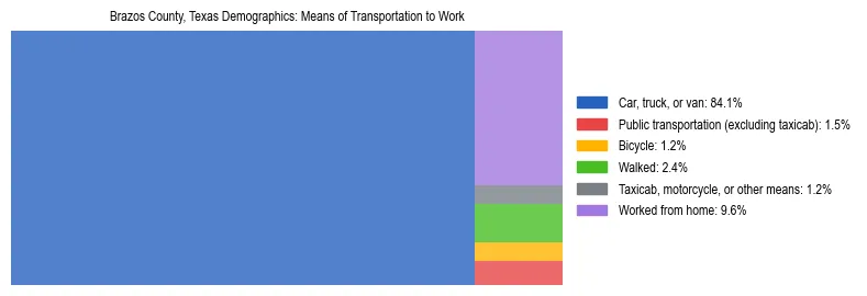 Treemap showing means of transportation to work distribution in Brazos County, Texas.