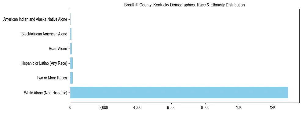 Race and Ethnicity Distribution Chart for Breathitt County, Kentucky