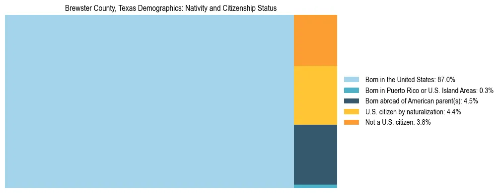 Treemap showing the population distribution by nativity and citizenship status in Brewster County, Texas based on U.S. Census data.