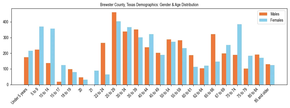 Bar chart showing the population distribution of Brewster County, Texas by age group and gender, based on 2023 ACS data.