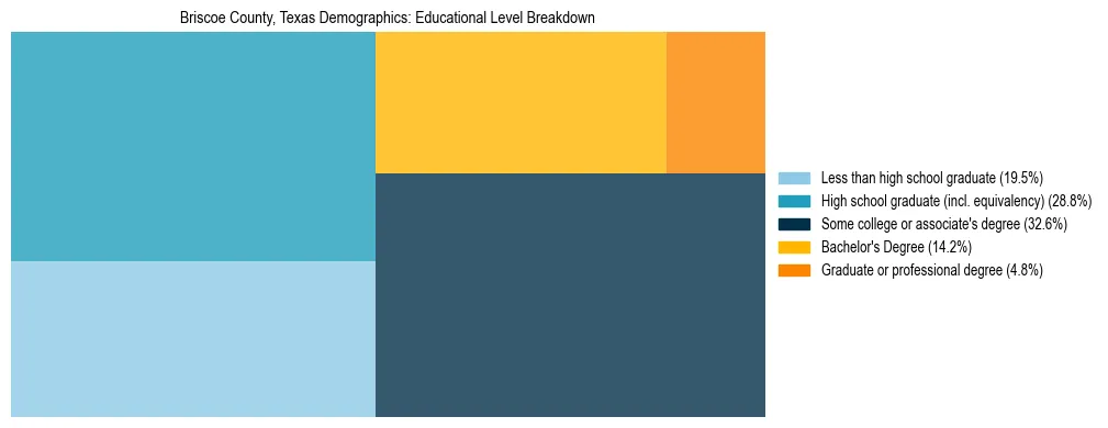 Treemap chart illustrating the educational attainment breakdown for population 25 years and over in Briscoe County, Texas.