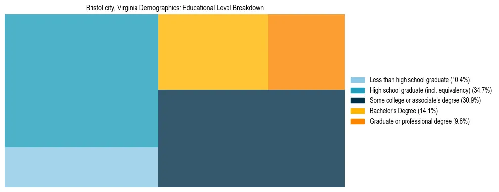 Treemap chart illustrating the educational attainment breakdown for population 25 years and over in Bristol city, Virginia.