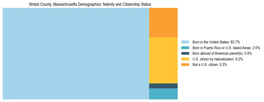 Treemap showing the population distribution by nativity and citizenship status in Bristol County, Massachusetts based on U.S. Census data.