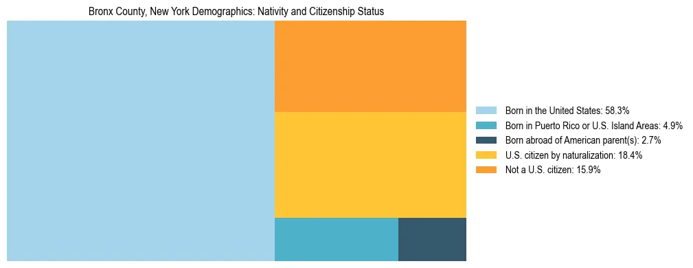 Treemap showing the population distribution by nativity and citizenship status in Bronx County, New York based on U.S. Census data.