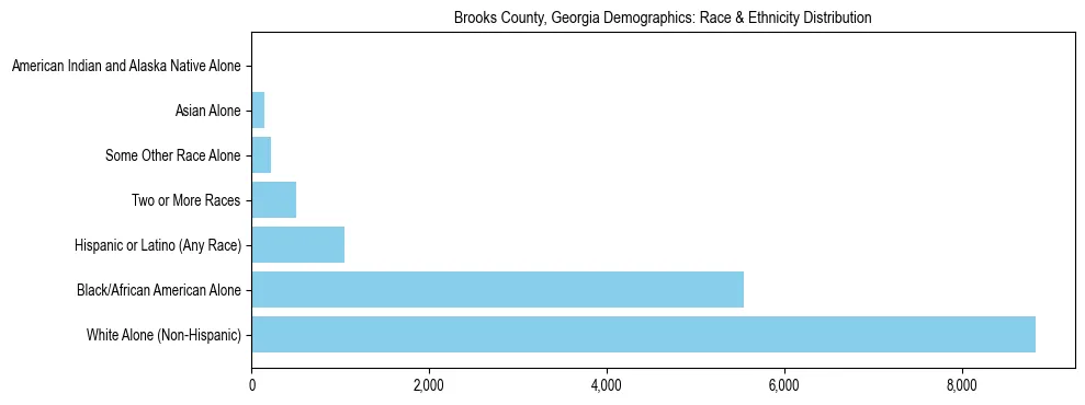 Race and Ethnicity Distribution Chart for Brooks County, Georgia