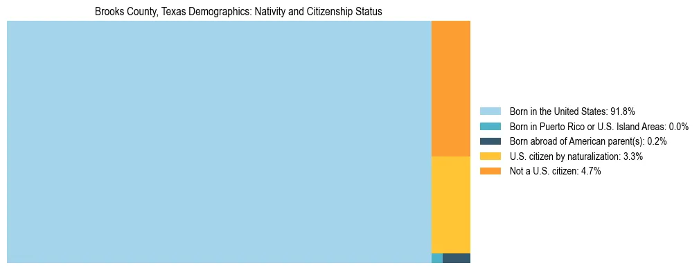 Treemap showing the population distribution by nativity and citizenship status in Brooks County, Texas based on U.S. Census data.