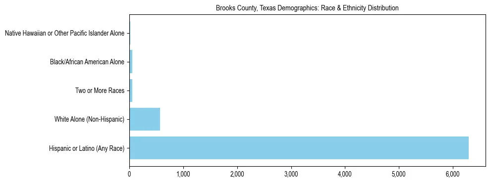 Race and Ethnicity Distribution Chart for Brooks County, Texas
