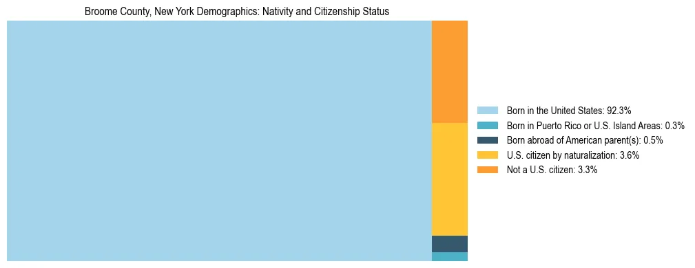 Treemap showing the population distribution by nativity and citizenship status in Broome County, New York based on U.S. Census data.