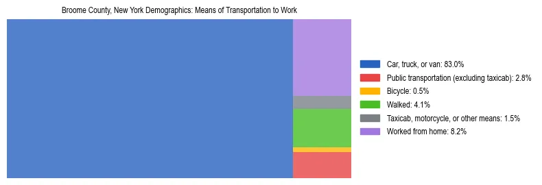 Treemap showing means of transportation to work distribution in Broome County, New York.