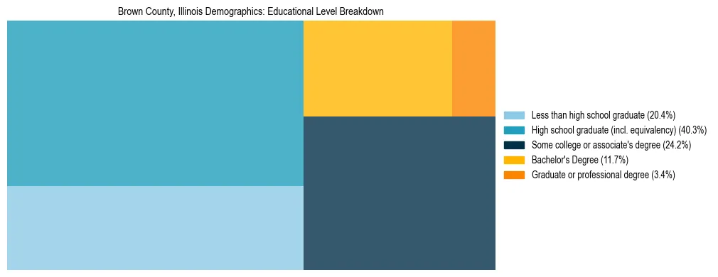 Treemap chart illustrating the educational attainment breakdown for population 25 years and over in Brown County, Illinois.