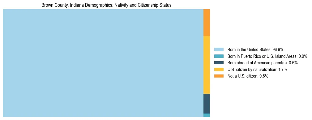 Treemap showing the population distribution by nativity and citizenship status in Brown County, Indiana based on U.S. Census data.