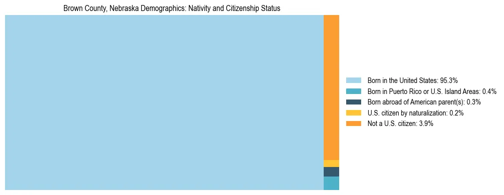 Treemap showing the population distribution by nativity and citizenship status in Brown County, Nebraska based on U.S. Census data.