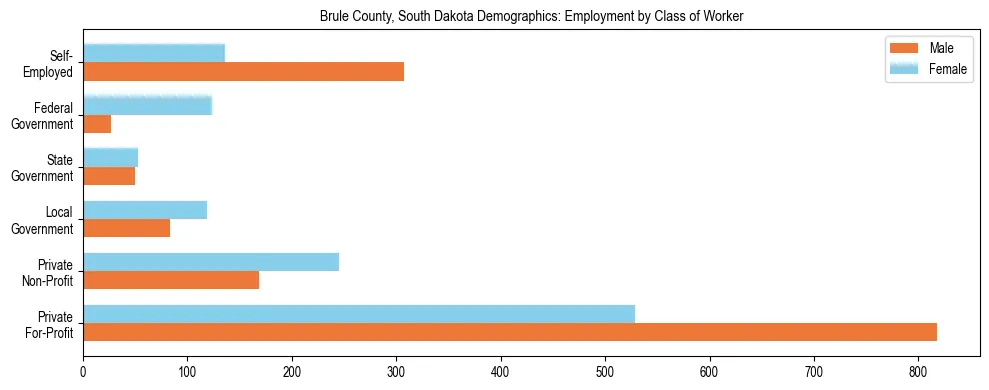 Horizontal bar chart showing employment distribution by class of worker and gender in Brule County, South Dakota, based on 2023 ACS data.