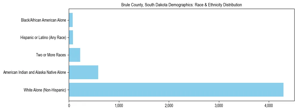 Race and Ethnicity Distribution Chart for Brule County, South Dakota