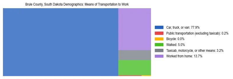 Treemap showing means of transportation to work distribution in Brule County, South Dakota.