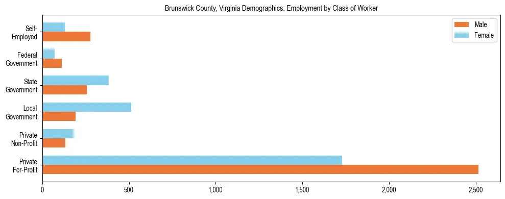 Horizontal bar chart showing employment distribution by class of worker and gender in Brunswick County, Virginia, based on 2023 ACS data.