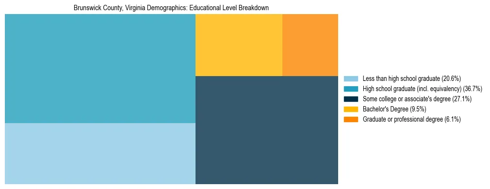 Treemap chart illustrating the educational attainment breakdown for population 25 years and over in Brunswick County, Virginia.