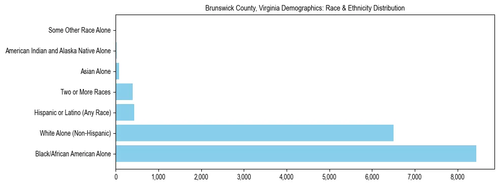 Race and Ethnicity Distribution Chart for Brunswick County, Virginia