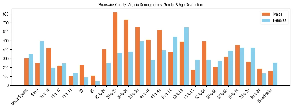 Bar chart showing the population distribution of Brunswick County, Virginia by age group and gender, based on 2023 ACS data.