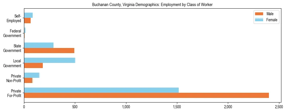 Horizontal bar chart showing employment distribution by class of worker and gender in Buchanan County, Virginia, based on 2023 ACS data.