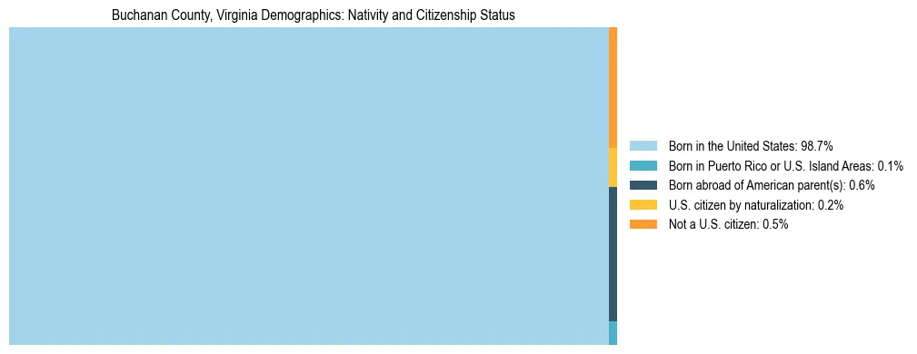 Treemap showing the population distribution by nativity and citizenship status in Buchanan County, Virginia based on U.S. Census data.