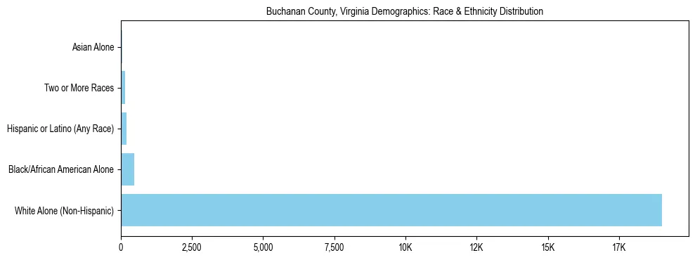 Race and Ethnicity Distribution Chart for Buchanan County, Virginia