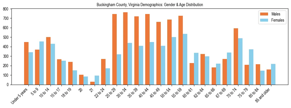 Bar chart showing the population distribution of Buckingham County, Virginia by age group and gender, based on 2023 ACS data.