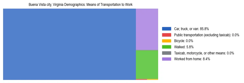 Treemap showing means of transportation to work distribution in Buena Vista city, Virginia.