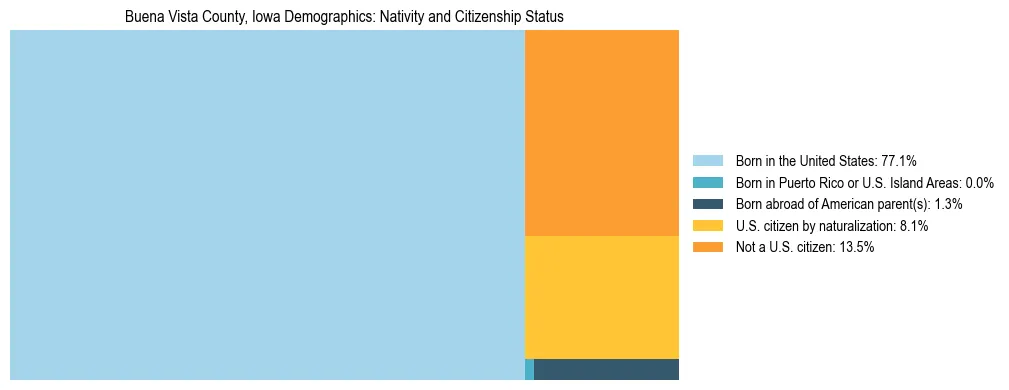 Treemap showing the population distribution by nativity and citizenship status in Buena Vista County, Iowa based on U.S. Census data.