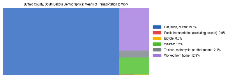 Treemap showing means of transportation to work distribution in Buffalo County, South Dakota.