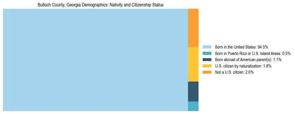Treemap showing the population distribution by nativity and citizenship status in Bulloch County, Georgia based on U.S. Census data.