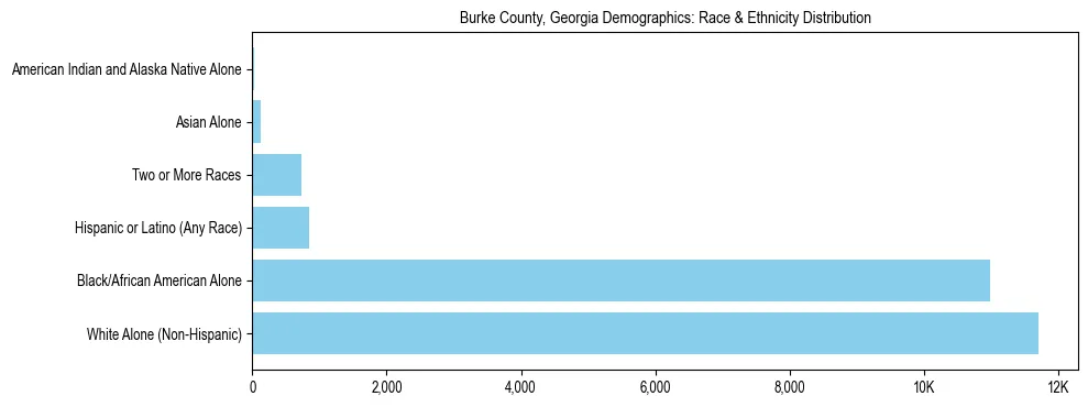 Race and Ethnicity Distribution Chart for Burke County, Georgia
