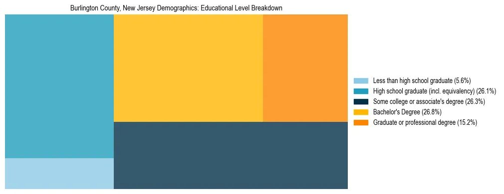 Treemap chart illustrating the educational attainment breakdown for population 25 years and over in Burlington County, New Jersey.
