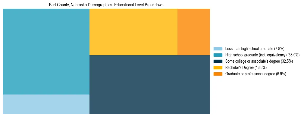 Treemap chart illustrating the educational attainment breakdown for population 25 years and over in Burt County, Nebraska.