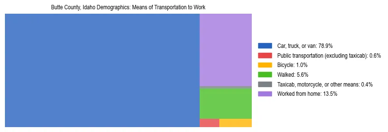 Treemap showing means of transportation to work distribution in Butte County, Idaho.