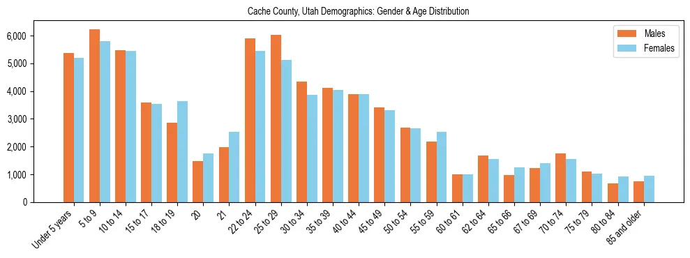 Bar chart showing the population distribution of Cache County, Utah by age group and gender, based on 2023 ACS data.