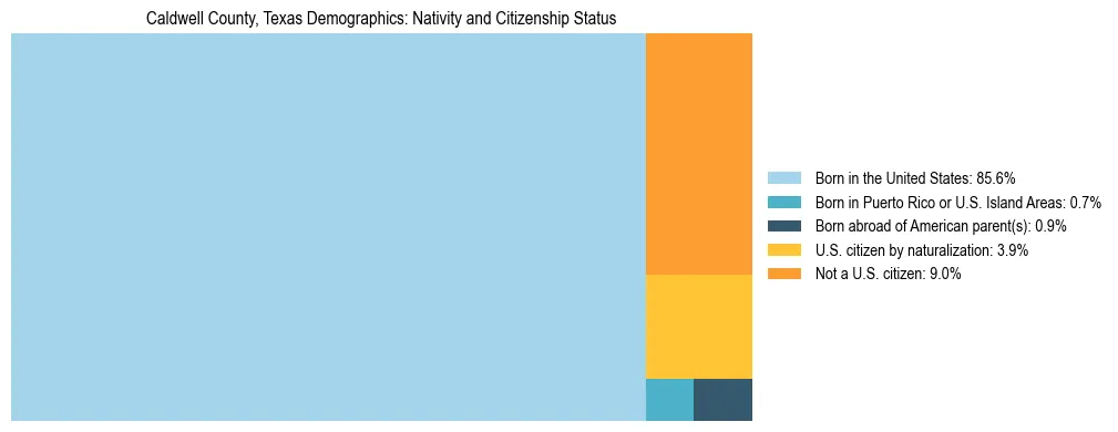 Treemap showing the population distribution by nativity and citizenship status in Caldwell County, Texas based on U.S. Census data.