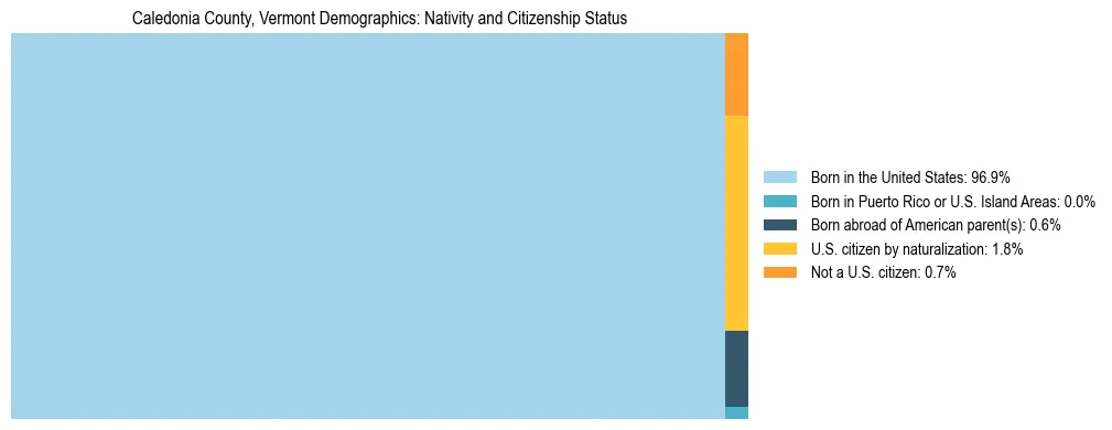 Treemap showing the population distribution by nativity and citizenship status in Caledonia County, Vermont based on U.S. Census data.